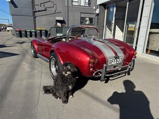 2009 Shelby Cobra - Thumbnail