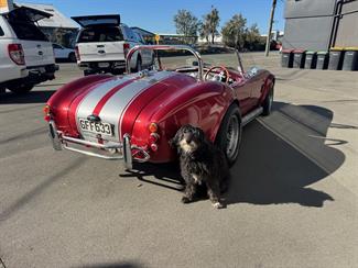 2009 Shelby Cobra - Thumbnail