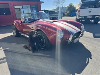 2009 Shelby Cobra - Thumbnail