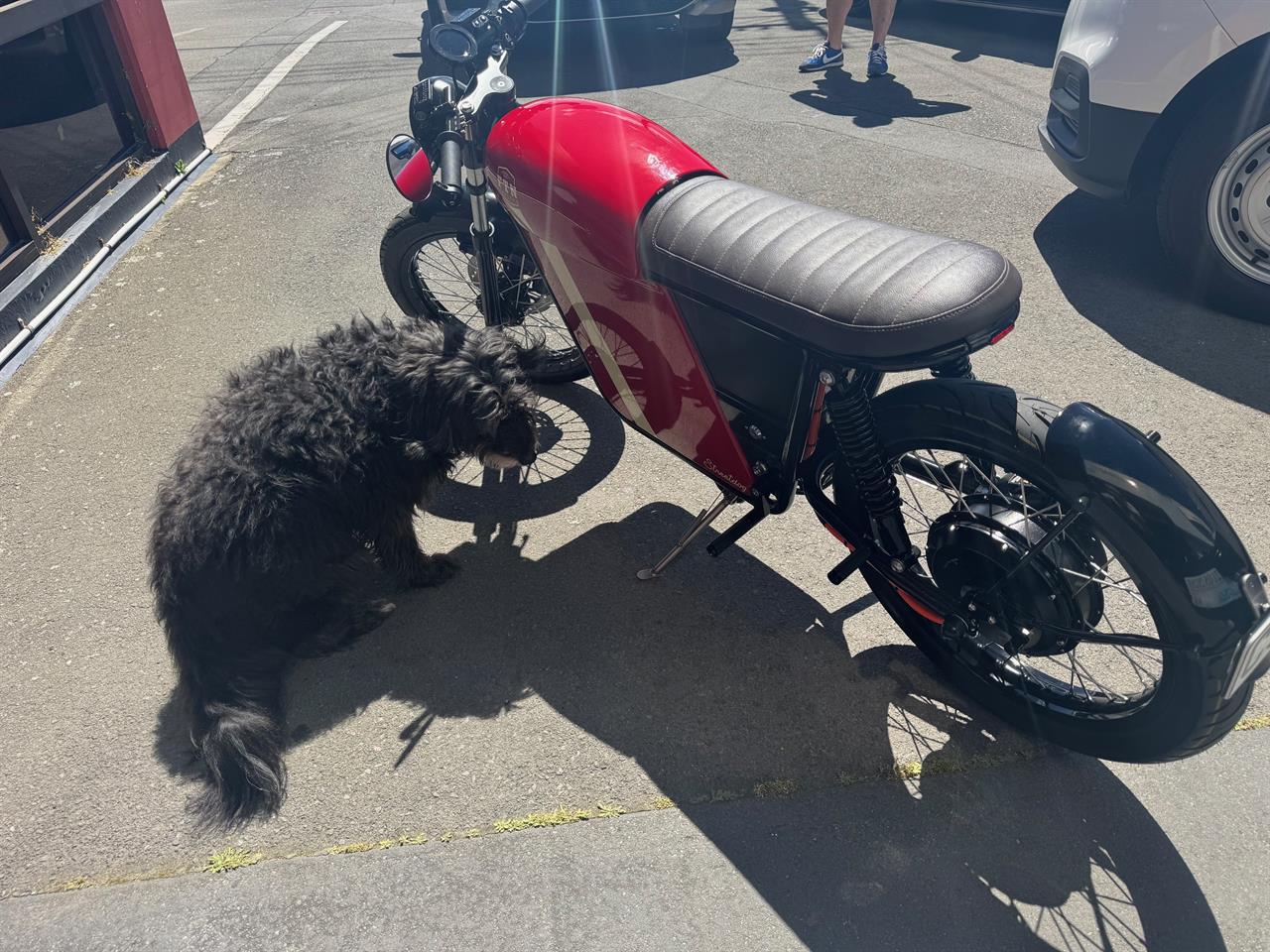 2023 FTN MOTION STREETDOG 50