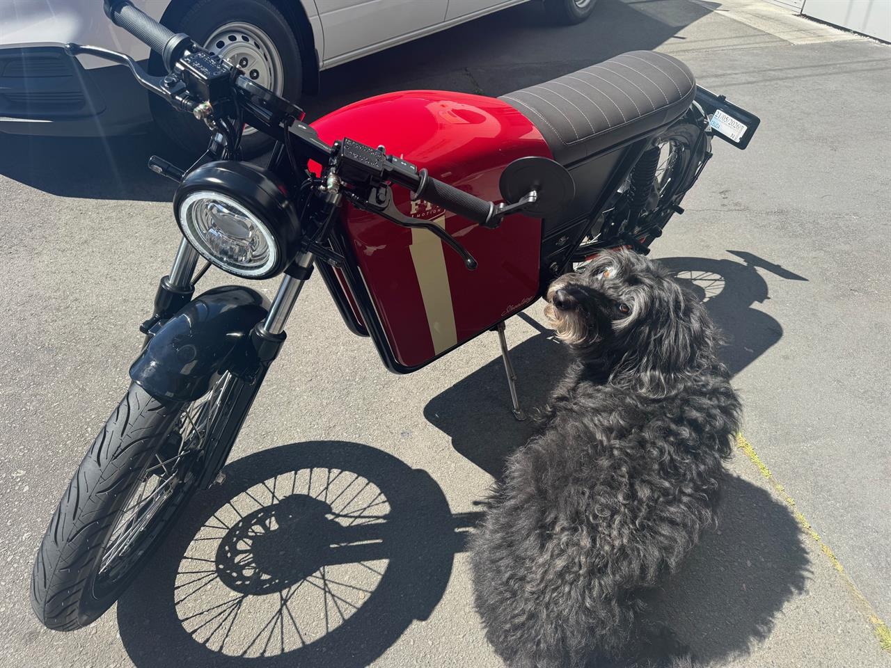 2023 FTN MOTION STREETDOG 50