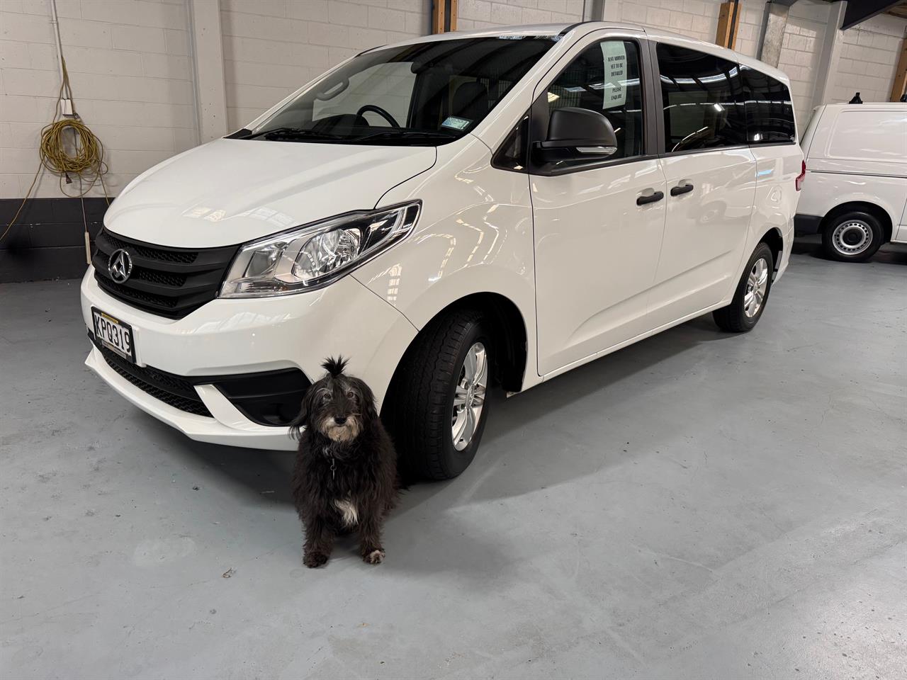2017 LDV G10