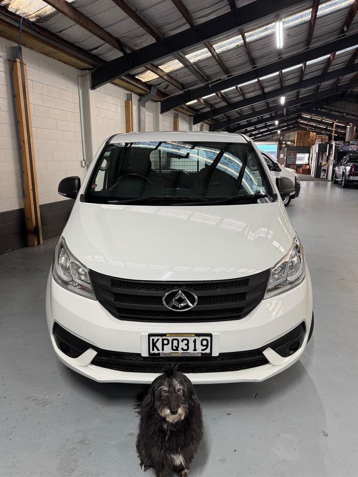 2017 LDV G10