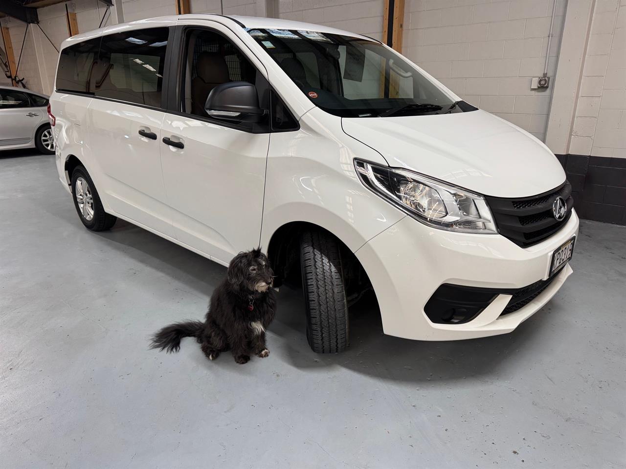2017 LDV G10